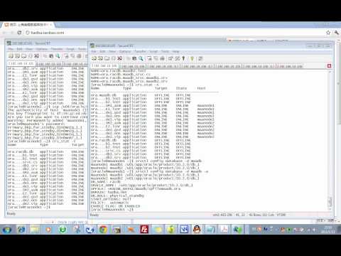 how to patch rac database