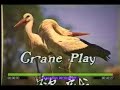 Five Animal Play Joy Qigong Five Animal Play Joy Qigong