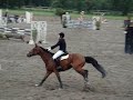 championnats de provence cham grand prix 1m5 championnats de provence cham grand prix 1m5