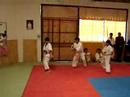 seminario shotokan 5�parte
