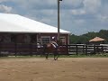 Beezie