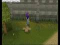 videos de Runescape how to catch a noob