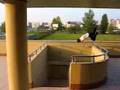 Parkour Bails