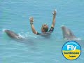 Curacao Destination Curacao Destination
