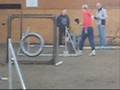 videos de agilitydebut_081115.wmv