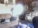 jUsTiiN & hIs BeAr,..(EdDiiE)