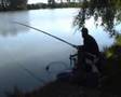 La pêche à la carpe au coup