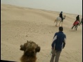 Chott el Jerid, Zaafrane, Douz, Matmāta &amp; Guellala - Tunisia