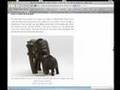Pt.5 - HSG.com Digital Photography & Video Seminar