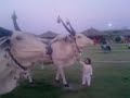 V181009 18 05 mpeg4