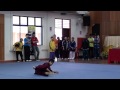 National Day Martial Arts Tournament (Wushu) Girl 