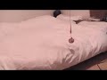 歳三の一人遊び