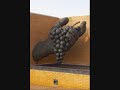 Cultura y Vino / Culture and Wine