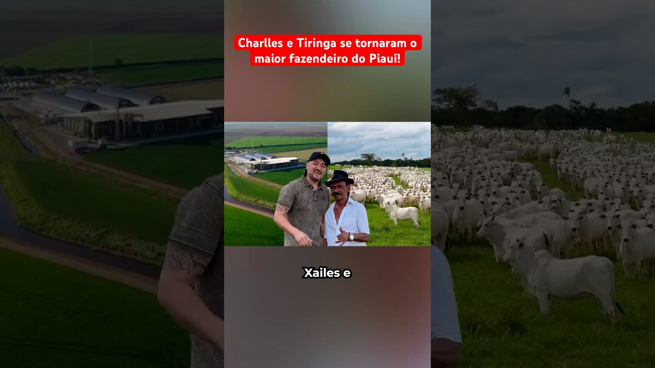 Charlles e Tiringa se tornaram os maiores fazendeiros do Piauí?