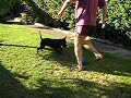 Game of Footy