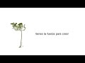 Dispongo esto como un foro para q expreses tus ideas con respecto a este temaUn video utilizando animaciones (novato de por cierto xD) nos orienta a que veamos el problema de la contaminacion de una manera en el que podamos confiar en que asi como nosotros aportamos a este mal tambien podemos remediarlo . Favor de ver el vod en watch high quality (ver maxima calidad)