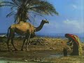 diverses photos sur le paysage et les coutumes djiboutiennes (afares) sur un mix des sons de nasser.