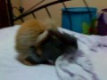 User Thumb 1