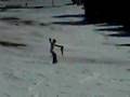 Bajada Masella en bañadores Marzo 2008