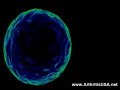 Platelet Rich Plasma by Dr Farshchian