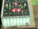 Los Mejores Golpes en Concursos Japoneses