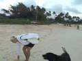 Beach Walk #562 - I Wonder