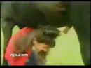 Good Horse