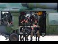 awsome-marine-video