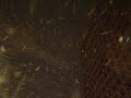 Big Chicago Flakes