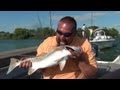 Red Fishing With Balloons, Randy Mans Big Redfish