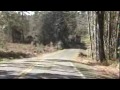 Motorcycle Ride to Steamboat Island Olympia Washington