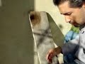 Revelado de Huellas con Nitrato de Plata