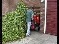 Honda Dumper