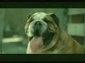 bloopers de animales