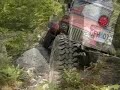 Jeeps wheelin\