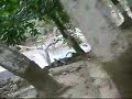 Cascadas rio micos cd valles
