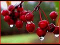 dntel-turning-red-sound-of-color-music-video.html
