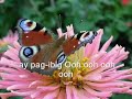 paglisan-color it red