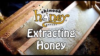 Extracting Chinook Honey (2016)