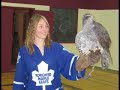 GCHS Promotional Video