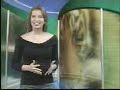 21nov09 ave fauna bl 2.wmv