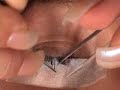 Divine Eyelash Extension Technique Divine Eyelash Extension Technique