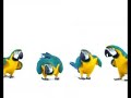 Telus Internet Ad