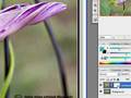 My digital photo post-processing.