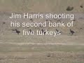 Shooting Silhouettes: Turkeys @ 385m with Handgun