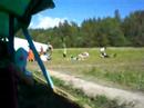 phowa 2007 karelia