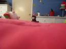 GET DOWN FROM THERE PATCHIE