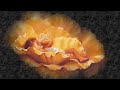 Noche de Paz - Villancicos - Música de Navidad