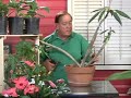 Plants\ Plants\