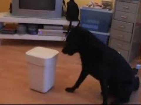 Video ansehen